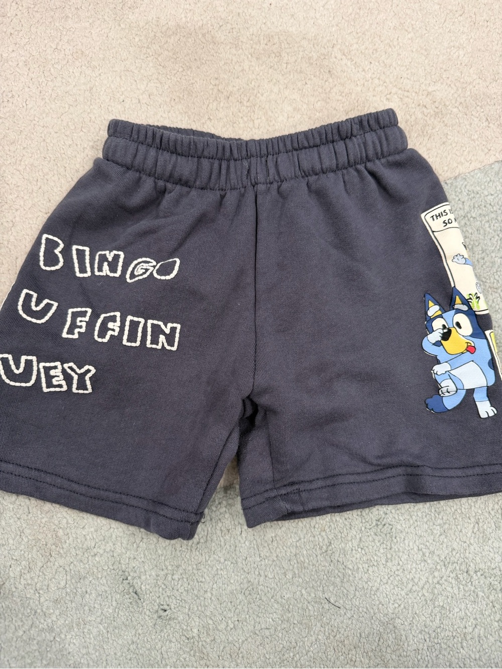 Zara toddler Bluey shorts size 6